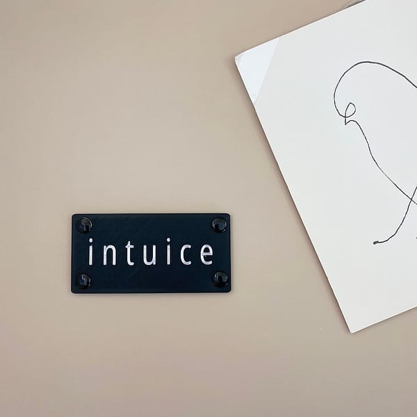 PKB | snaps - snap ''intuice''
